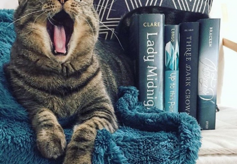 #בוקסטגרם (#bookstagram)– מה זה ולמה זה מקדם ספרים? bookstagram