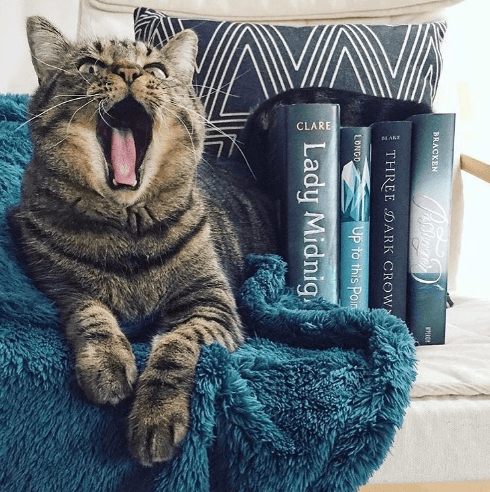 #בוקסטגרם (#bookstagram)– מה זה ולמה זה מקדם ספרים? bookstagram