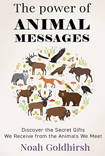 The Power of Animal Messages