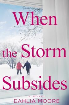 When the Storm Subsides: A Novel