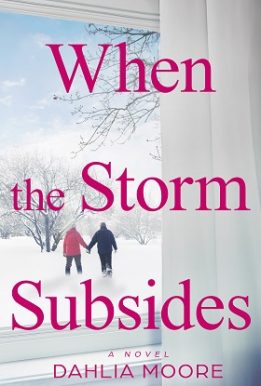 When the Storm Subsides: A Novel